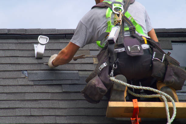 Best Gutter Installation and Roofing  in Brogden, NC