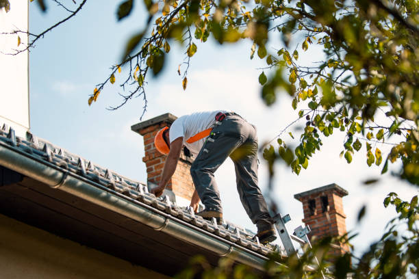 Best Best Roofing Contractors  in Brogden, NC
