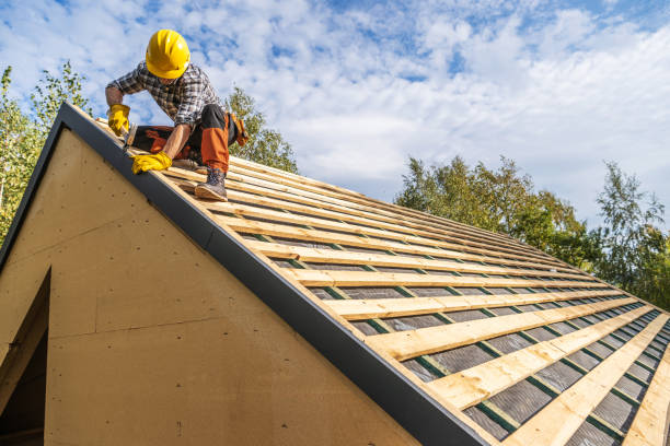 Best Commercial Roofing Services  in Brogden, NC