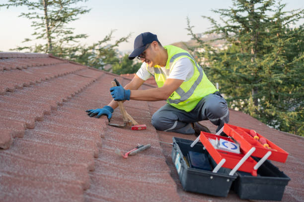 Best Flat Roof Repair Services  in Brogden, NC