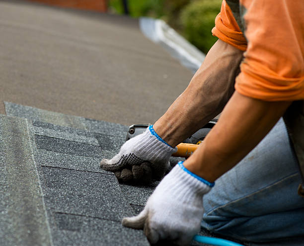 Best Metal Roofing Contractor  in Brogden, NC