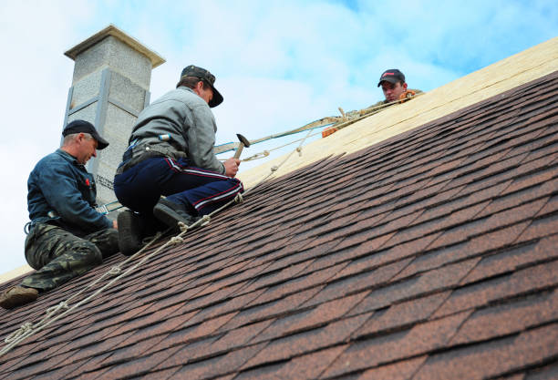 Best New Roof Installation  in Brogden, NC