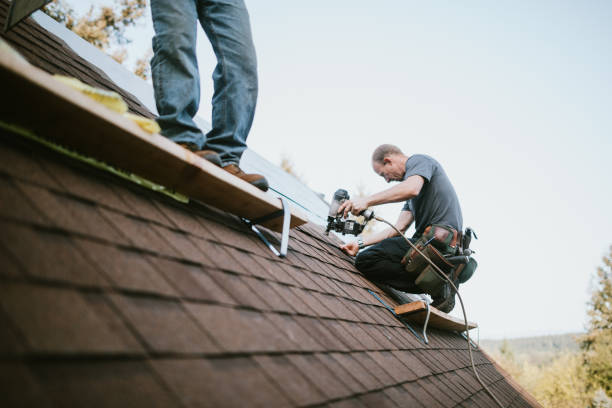 Best Roof Gutter Cleaning  in Brogden, NC